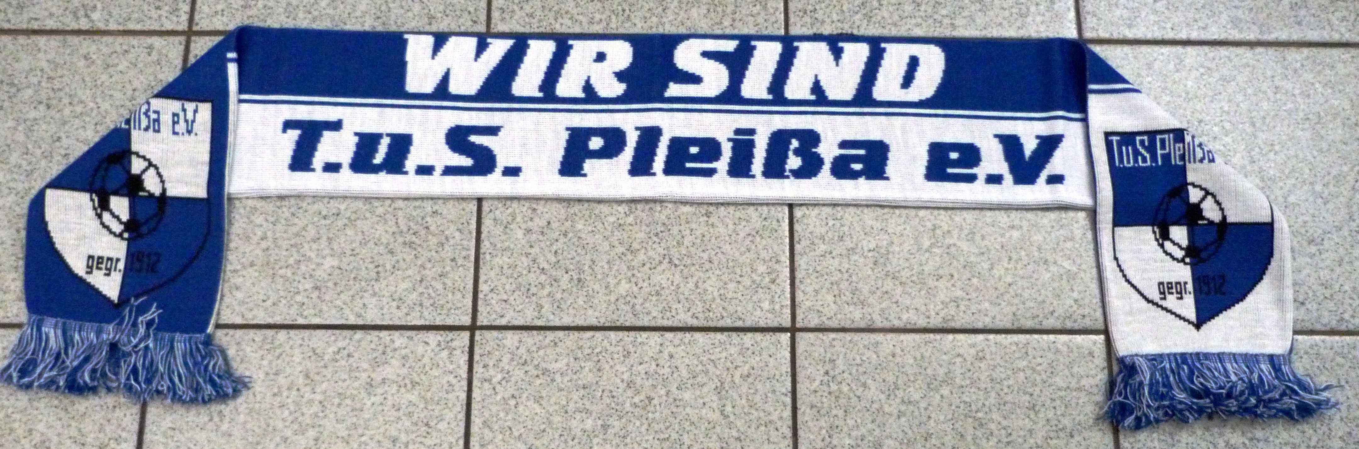 Fan-Schal